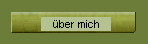 Fragebogen